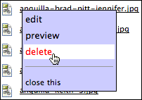Edit, Preview, Delete