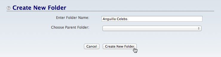 Create new Image Library folders